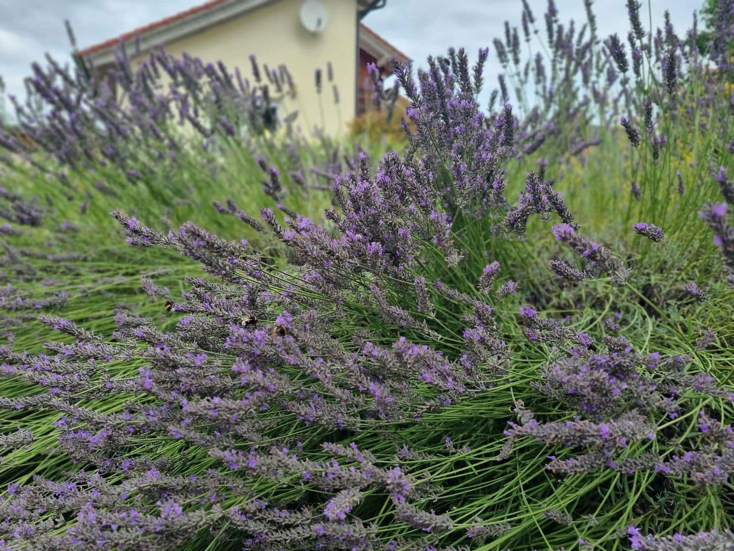 house for sale, 273 m², Einbeck, Lower Saxony house for sale, 273 m², Einbeck, Lower Saxony