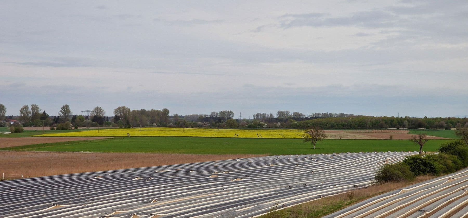 3 bedroom flat for sale, 100 m², Bruchsal, Baden-Württemberg 3 bedroom flat for sale, 100 m², Bruchsal, Baden-Württemberg