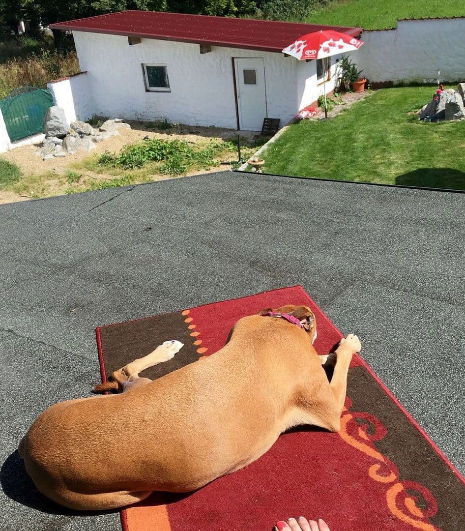 house for sale, 228 m², Falkenstein, Bavaria house for sale, 228 m², Falkenstein, Bavaria