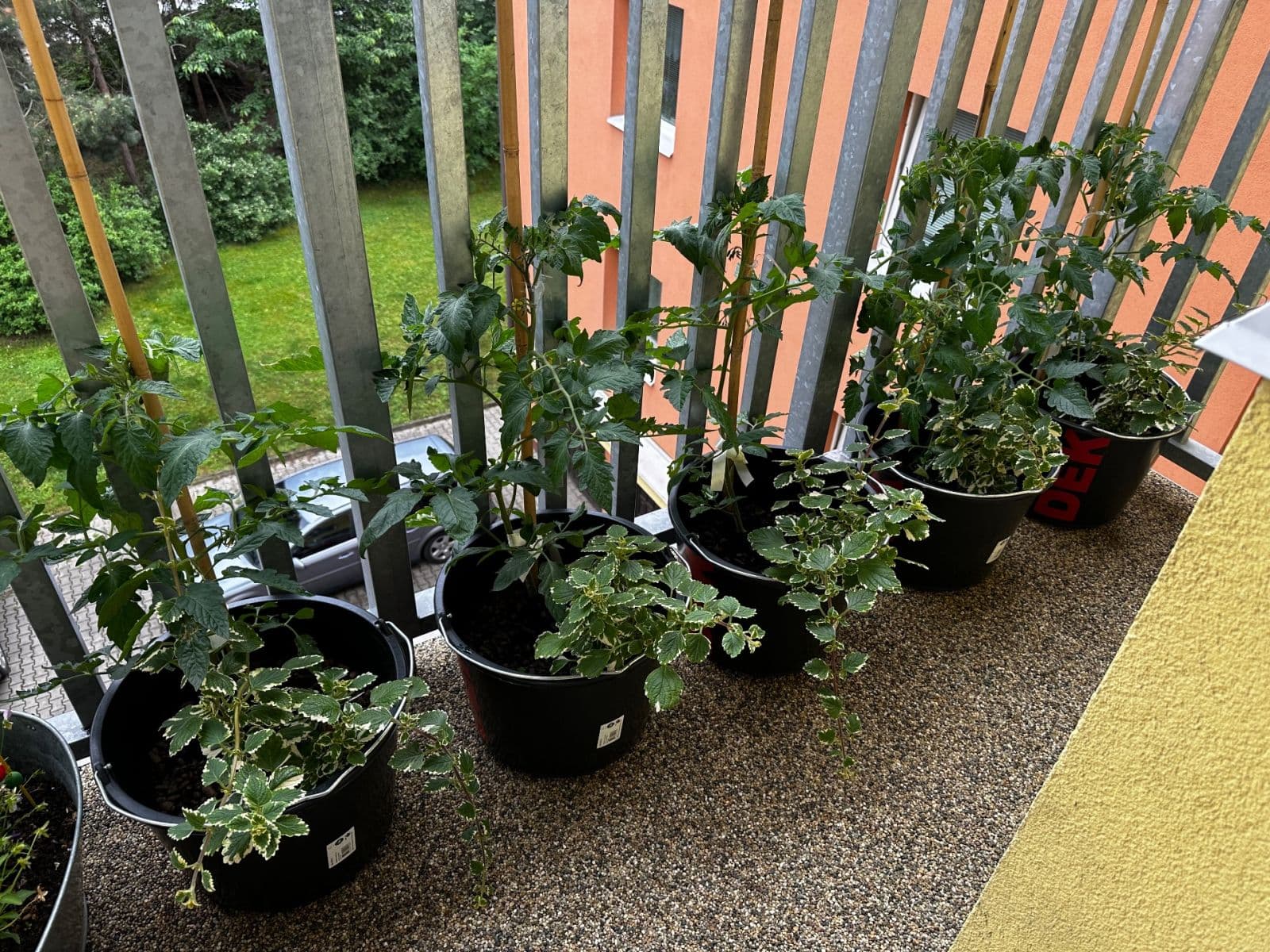 4 bedroom flat for sale, 110 m², Volmanova, Čelákovice, Středočeský Region 4 bedroom flat for sale, 110 m², Volmanova, Čelákovice, Středočeský Region