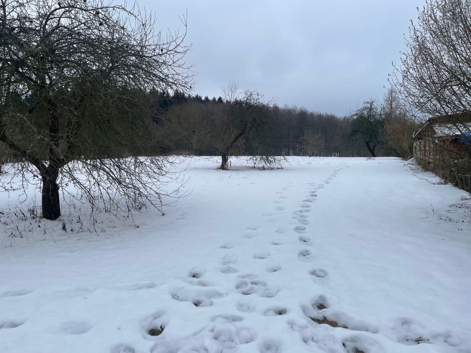 plot for sale, 5,000 m², Sadov, Karlovarský Region plot for sale, 5,000 m², Sadov, Karlovarský Region