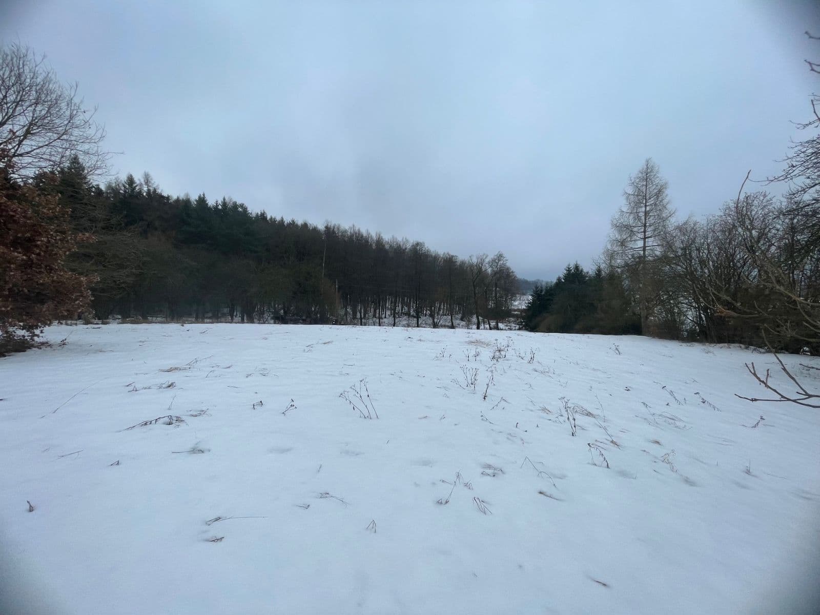 plot for sale, 5,000 m², Sadov, Karlovarský Region plot for sale, 5,000 m², Sadov, Karlovarský Region