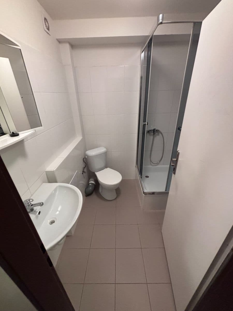 Studio flat to rent, 30 m², Kladenská, Prague, Prague Studio flat to rent, 30 m², Kladenská, Prague, Prague