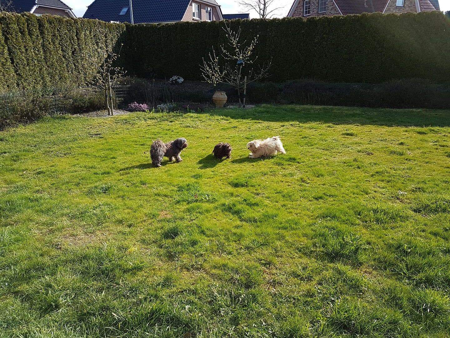 house for sale, 115 m², Hammoor, Schleswig-Holstein house for sale, 115 m², Hammoor, Schleswig-Holstein