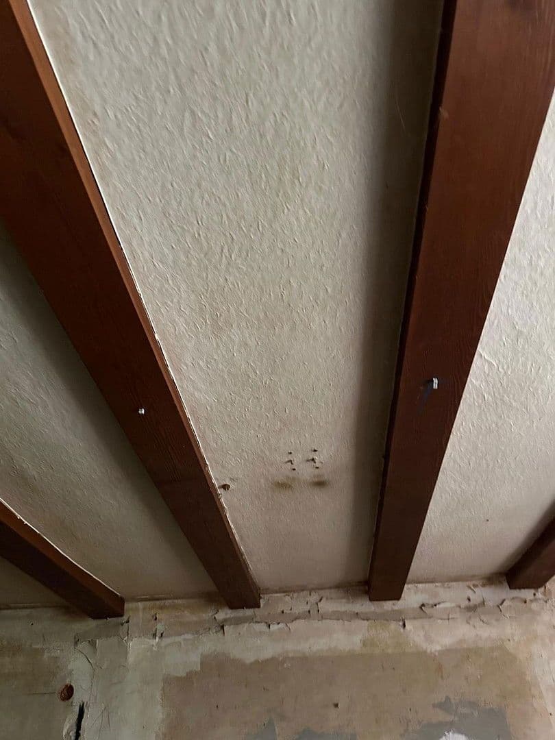 non-residential property to rent, 73 m², Lindenstraße 30, Bad Wildungen, Hesse non-residential property to rent, 73 m², Lindenstraße 30, Bad Wildungen, Hesse