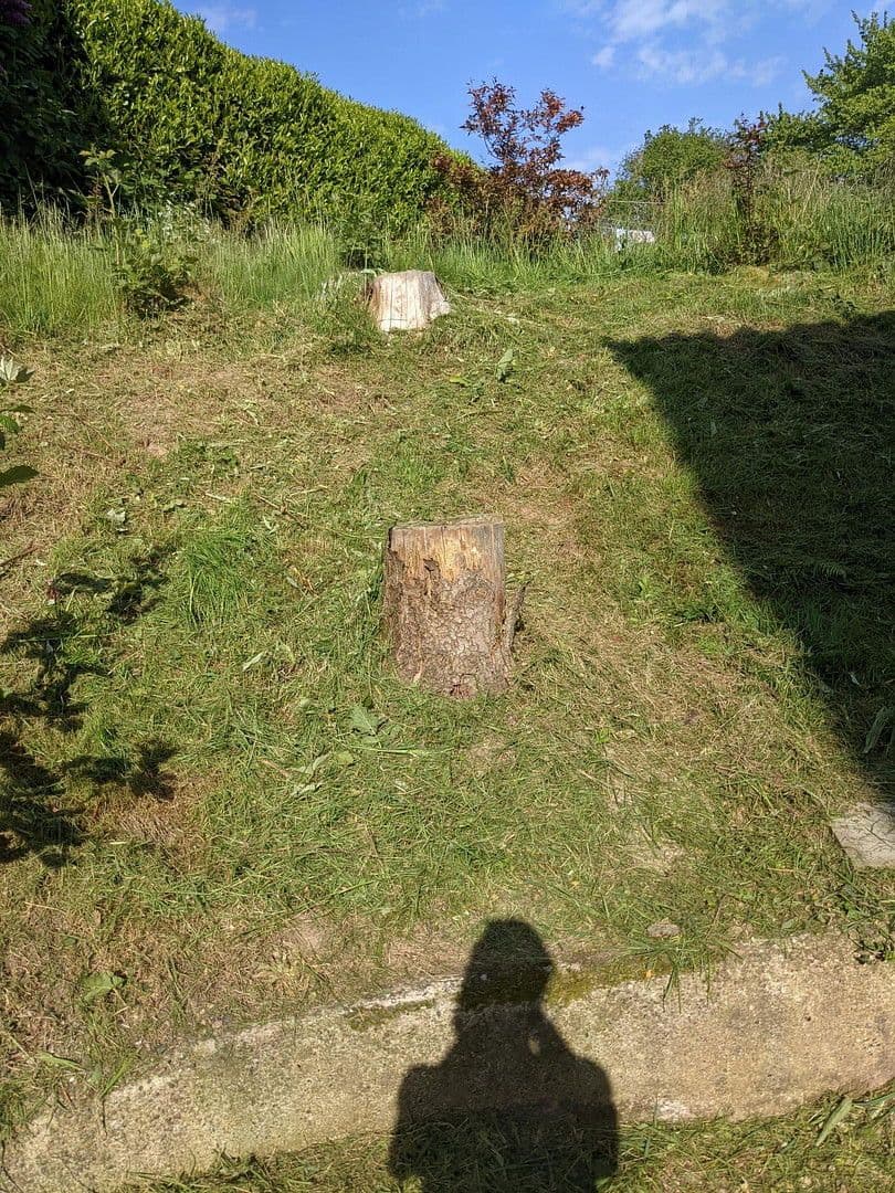 1 bedroom flat to rent, 28 m², Luschendorfer Straße Nr. 1, Schürsdorf, Schleswig-Holstein 1 bedroom flat to rent, 28 m², Luschendorfer Straße Nr. 1, Schürsdorf, Schleswig-Holstein