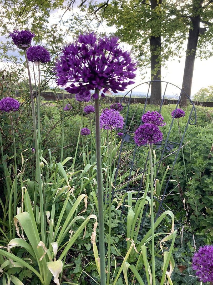 house for sale, 180 m², Nienstädt, Lower Saxony house for sale, 180 m², Nienstädt, Lower Saxony