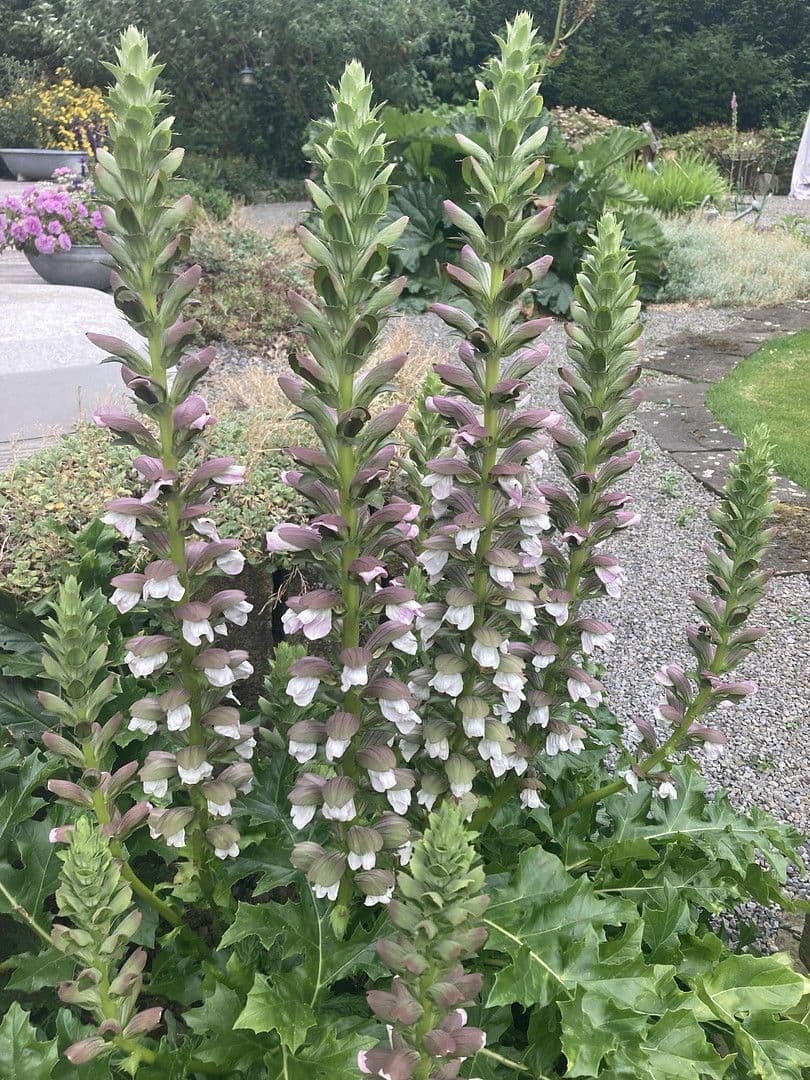 house for sale, 180 m², Nienstädt, Lower Saxony house for sale, 180 m², Nienstädt, Lower Saxony