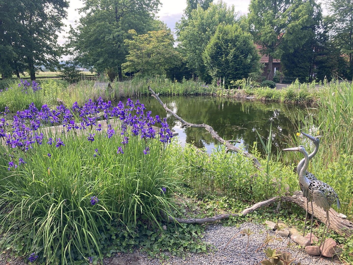 house for sale, 180 m², Nienstädt, Lower Saxony house for sale, 180 m², Nienstädt, Lower Saxony