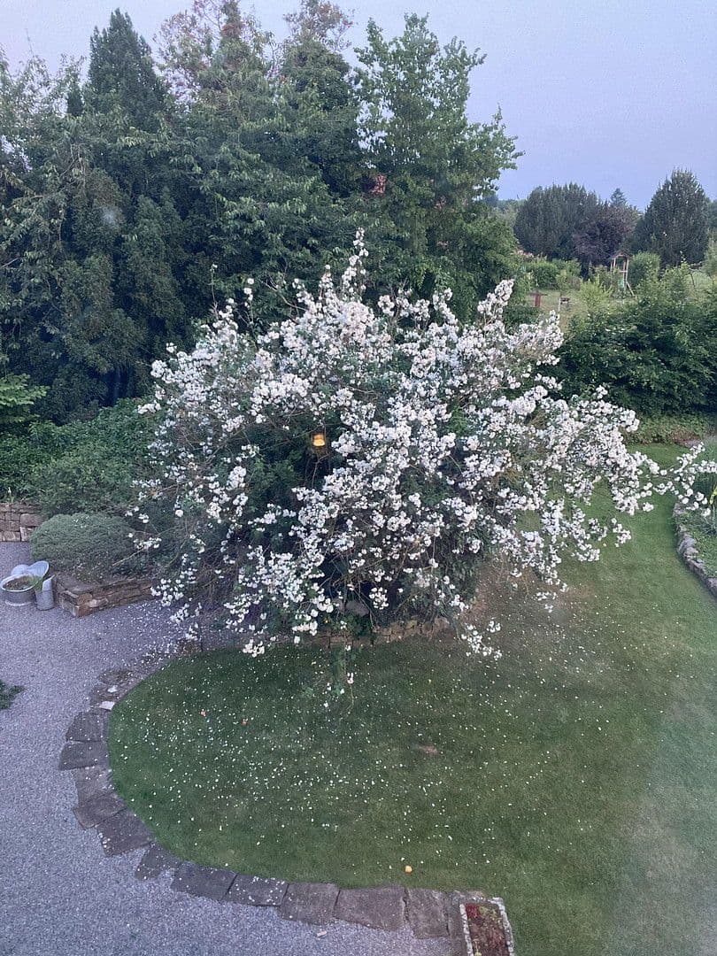 house for sale, 180 m², Nienstädt, Lower Saxony house for sale, 180 m², Nienstädt, Lower Saxony