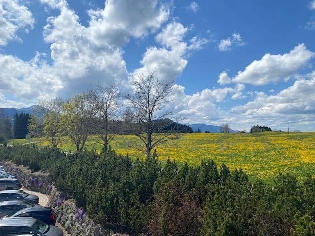 office to rent, 400 m², Sulzberg, Bavaria office to rent, 400 m², Sulzberg, Bavaria