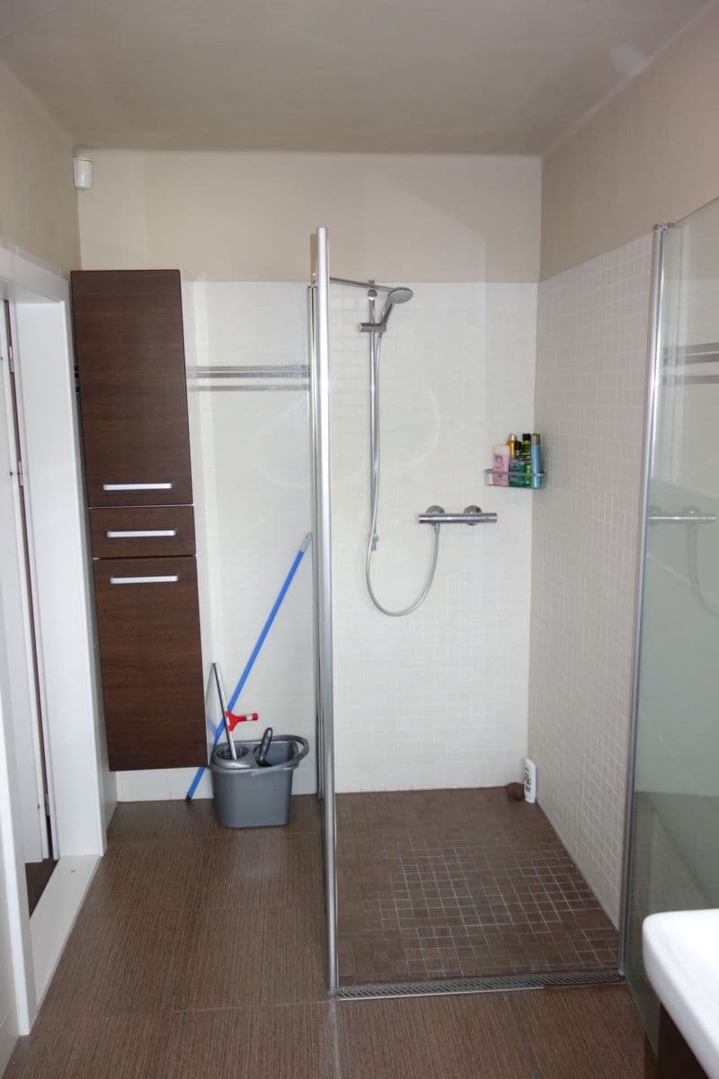 1 bedroom with open-plan kitchen flat to rent, 61 m², Neherovská, Prague, Prague 1 bedroom with open-plan kitchen flat to rent, 61 m², Neherovská, Prague, Prague