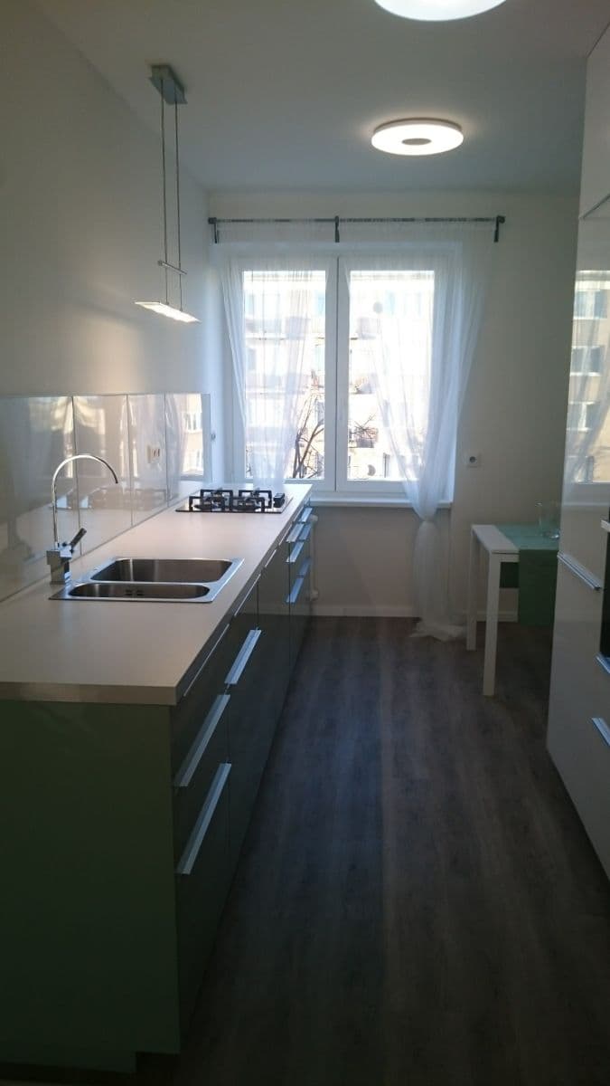 1 bedroom with open-plan kitchen flat to rent, 54 m², Pod Lipami, Prague, Prague 1 bedroom with open-plan kitchen flat to rent, 54 m², Pod Lipami, Prague, Prague