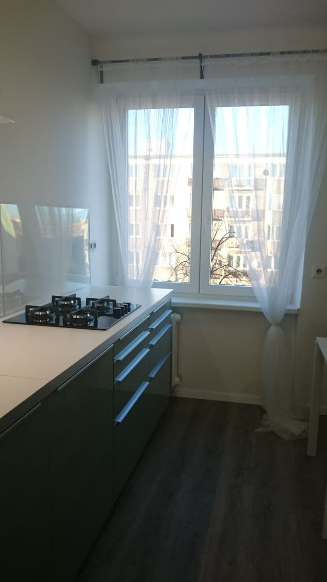 1 bedroom with open-plan kitchen flat to rent, 54 m², Pod Lipami, Prague, Prague 1 bedroom with open-plan kitchen flat to rent, 54 m², Pod Lipami, Prague, Prague