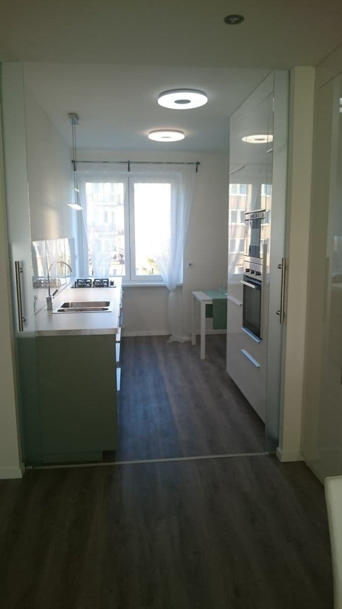 1 bedroom with open-plan kitchen flat to rent, 54 m², Pod Lipami, Prague, Prague 1 bedroom with open-plan kitchen flat to rent, 54 m², Pod Lipami, Prague, Prague