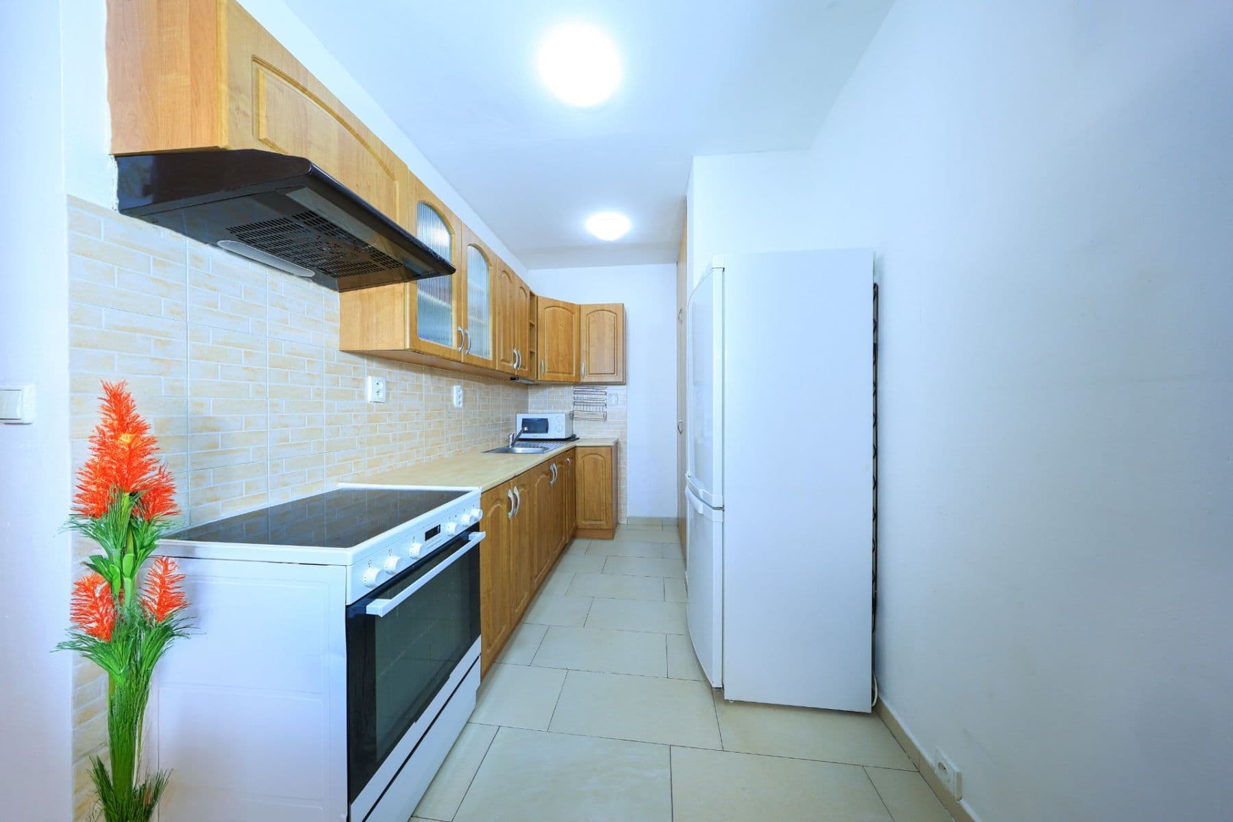 2 bedroom with open-plan kitchen flat for sale, 54 m², Cafourkova, Prague, Prague 2 bedroom with open-plan kitchen flat for sale, 54 m², Cafourkova, Prague, Prague