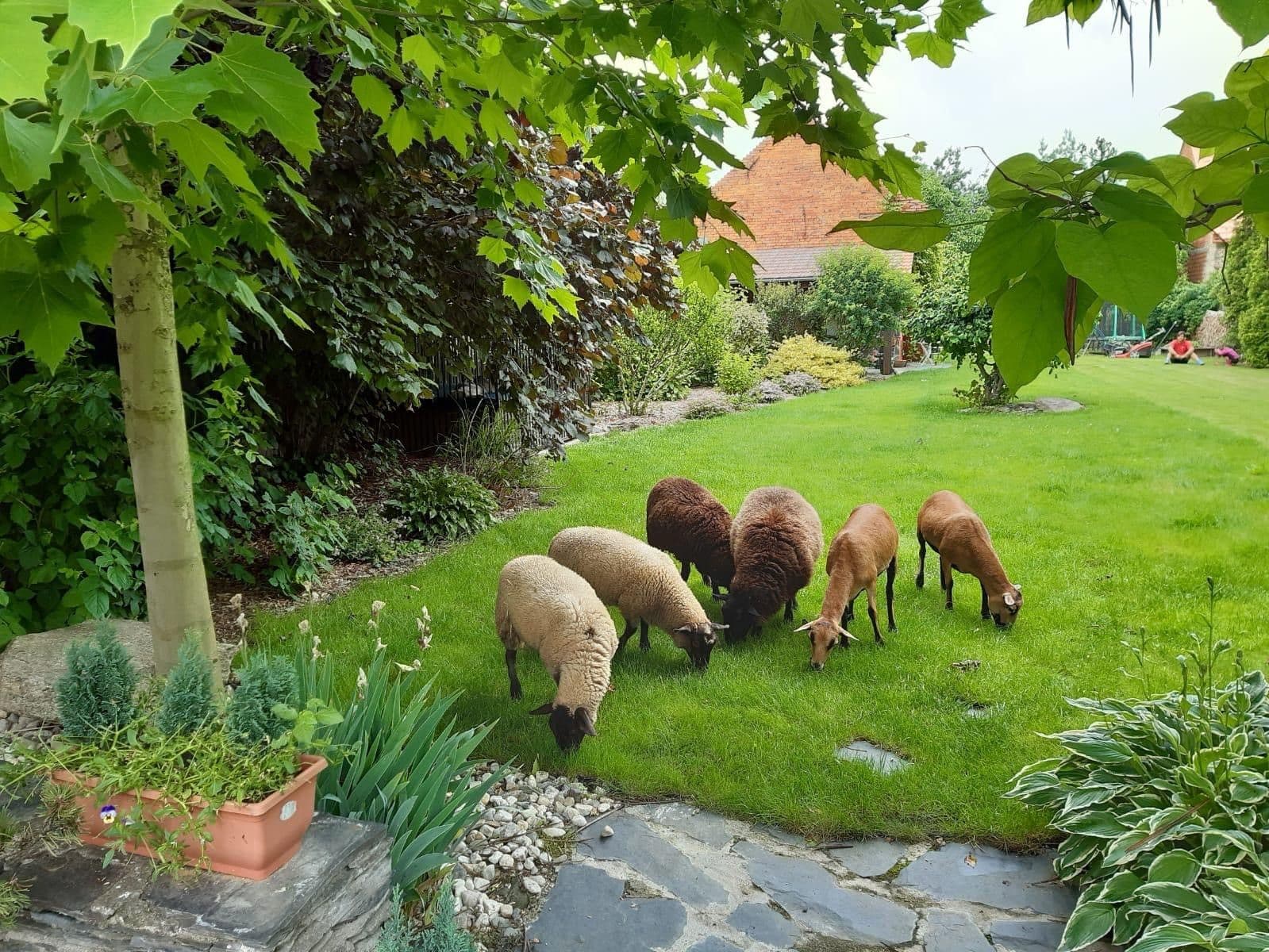 house for sale, 367 m², Svárov, Troubky, Olomoucký Region house for sale, 367 m², Svárov, Troubky, Olomoucký Region