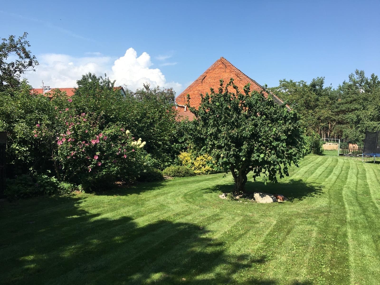 house for sale, 367 m², Svárov, Troubky, Olomoucký Region house for sale, 367 m², Svárov, Troubky, Olomoucký Region