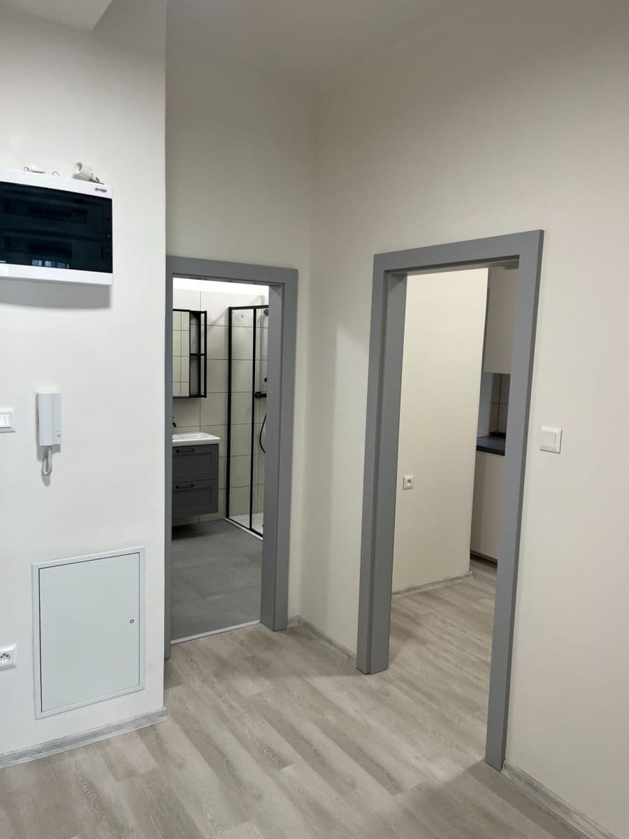 2 bedroom flat to rent, 54 m², Milady Horákové, Brno, Jihomoravský Region 2 bedroom flat to rent, 54 m², Milady Horákové, Brno, Jihomoravský Region