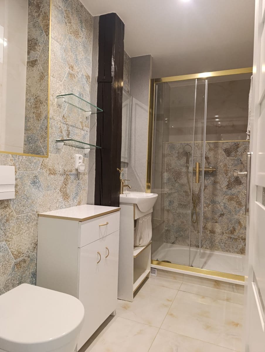 1 bedroom with open-plan kitchen flat to rent, 40 m², Helfertova, Brno, Jihomoravský Region 1 bedroom with open-plan kitchen flat to rent, 40 m², Helfertova, Brno, Jihomoravský Region