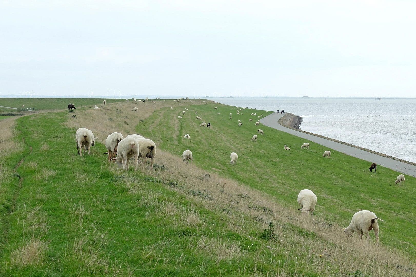 house for sale, 130 m², Pellworm, Schleswig-Holstein house for sale, 130 m², Pellworm, Schleswig-Holstein