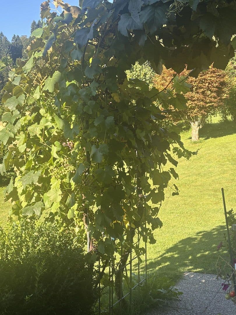 4 bedroom flat to rent, 120 m², Kupfstattgasse 18, Jochberg, Tyrol 4 bedroom flat to rent, 120 m², Kupfstattgasse 18, Jochberg, Tyrol