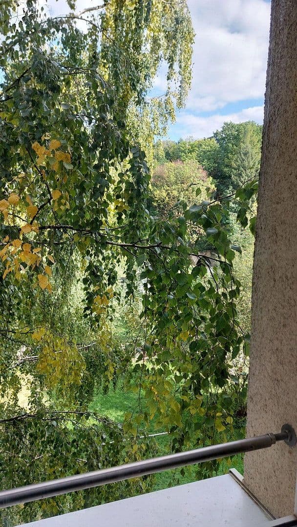 1 bedroom flat for sale, 32 m², Blankenauer Str. 68, Chemnitz, Saxony 1 bedroom flat for sale, 32 m², Blankenauer Str. 68, Chemnitz, Saxony