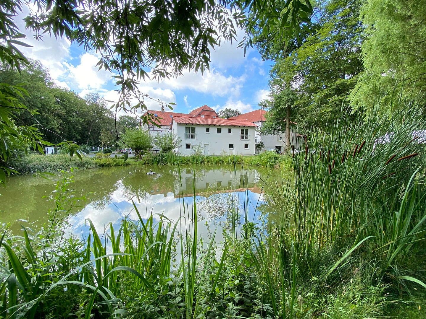 2 bedroom flat to rent, 32 m², Braunschweig, Lower Saxony 2 bedroom flat to rent, 32 m², Braunschweig, Lower Saxony