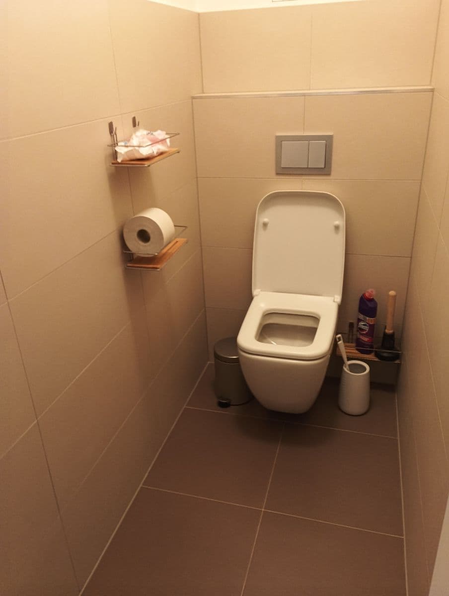 1 bedroom with open-plan kitchen flat to rent, 59 m², Borová, Hostivice, Středočeský Region 1 bedroom with open-plan kitchen flat to rent, 59 m², Borová, Hostivice, Středočeský Region