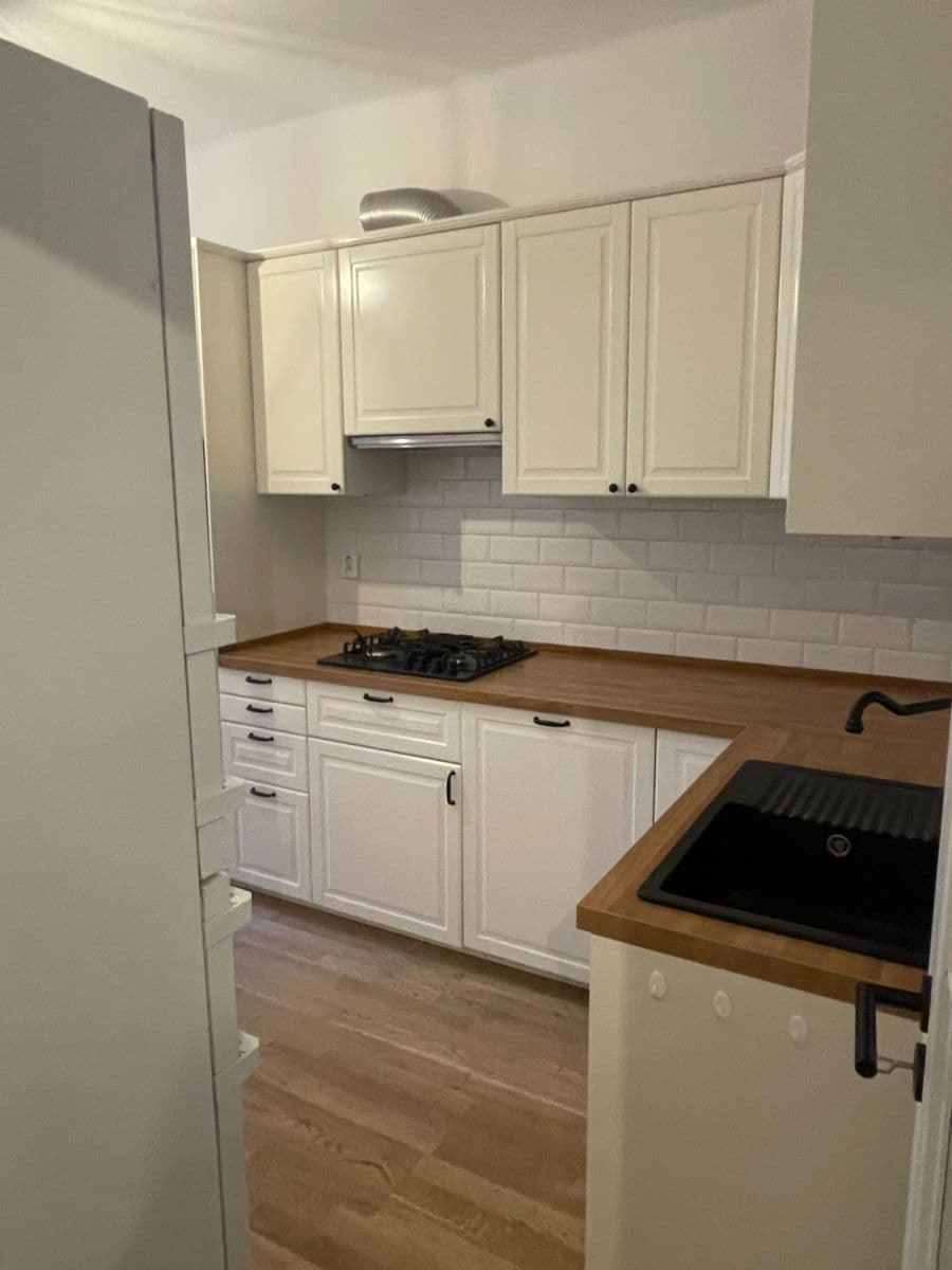 1 bedroom with open-plan kitchen flat to rent, 45 m², Na Slupi, Prague, Prague 1 bedroom with open-plan kitchen flat to rent, 45 m², Na Slupi, Prague, Prague