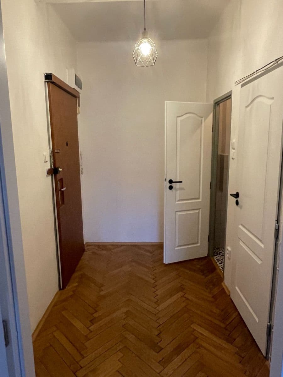 1 bedroom with open-plan kitchen flat to rent, 45 m², Na Slupi, Prague, Prague 1 bedroom with open-plan kitchen flat to rent, 45 m², Na Slupi, Prague, Prague