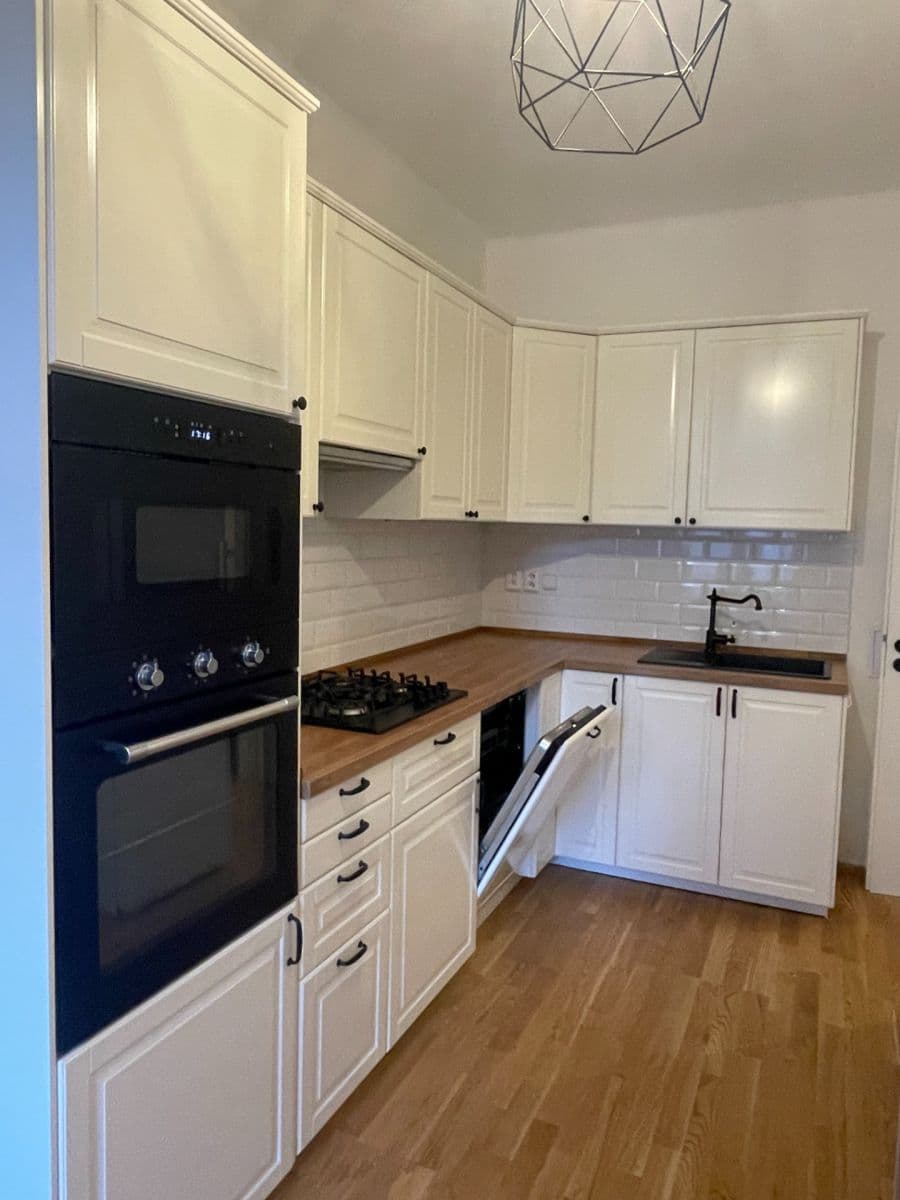 1 bedroom with open-plan kitchen flat to rent, 45 m², Na Slupi, Prague, Prague 1 bedroom with open-plan kitchen flat to rent, 45 m², Na Slupi, Prague, Prague