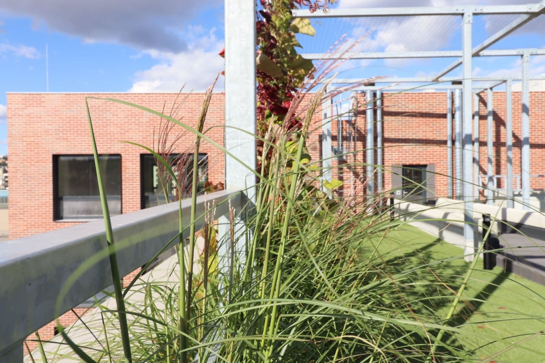 Studio flat to rent, 27 m², Poděbradská, Prague, Prague Studio flat to rent, 27 m², Poděbradská, Prague, Prague