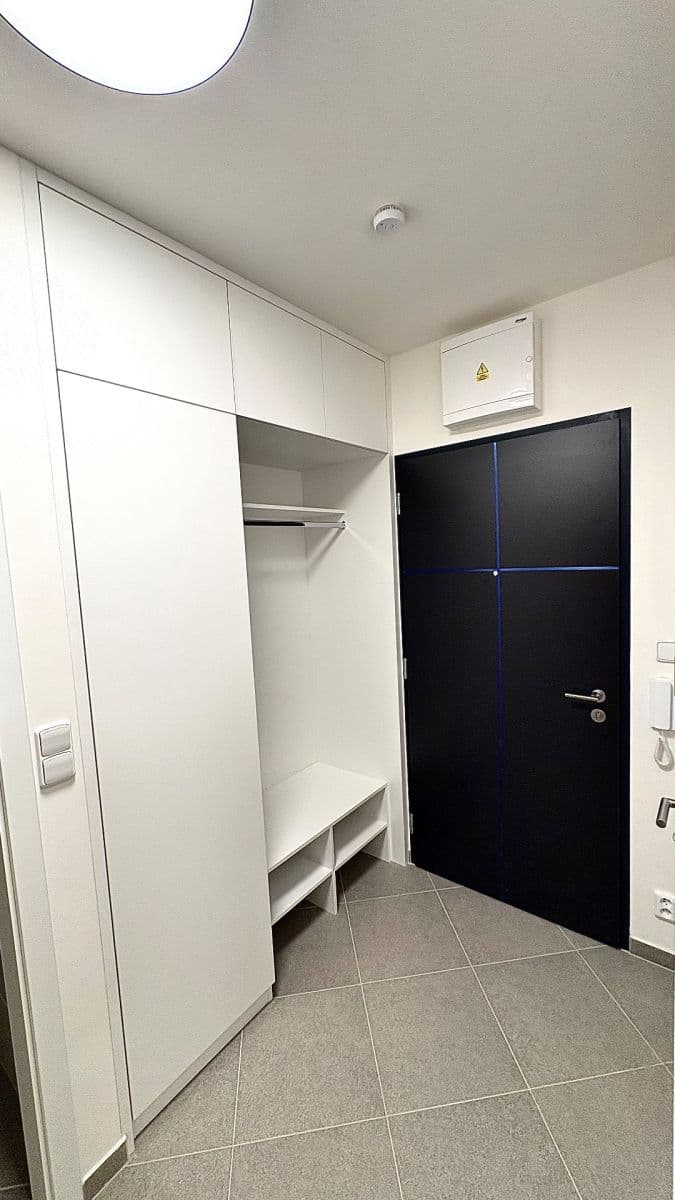 1 bedroom with open-plan kitchen flat to rent, 55 m², Čakovická, Prague, Prague 1 bedroom with open-plan kitchen flat to rent, 55 m², Čakovická, Prague, Prague