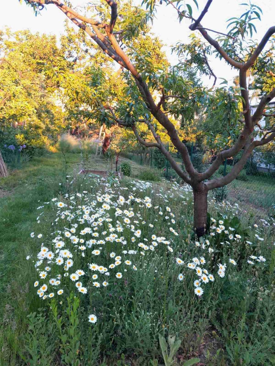 house for sale, 115 m², Kytnerova, Brno, Jihomoravský Region house for sale, 115 m², Kytnerova, Brno, Jihomoravský Region