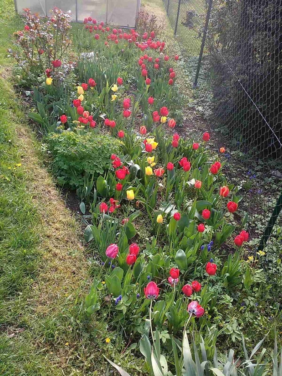 house for sale, 115 m², Kytnerova, Brno, Jihomoravský Region house for sale, 115 m², Kytnerova, Brno, Jihomoravský Region