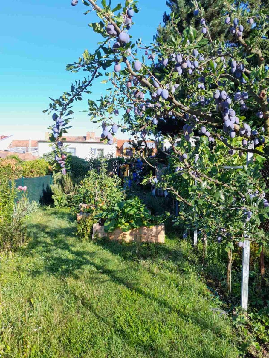 house for sale, 115 m², Kytnerova, Brno, Jihomoravský Region house for sale, 115 m², Kytnerova, Brno, Jihomoravský Region