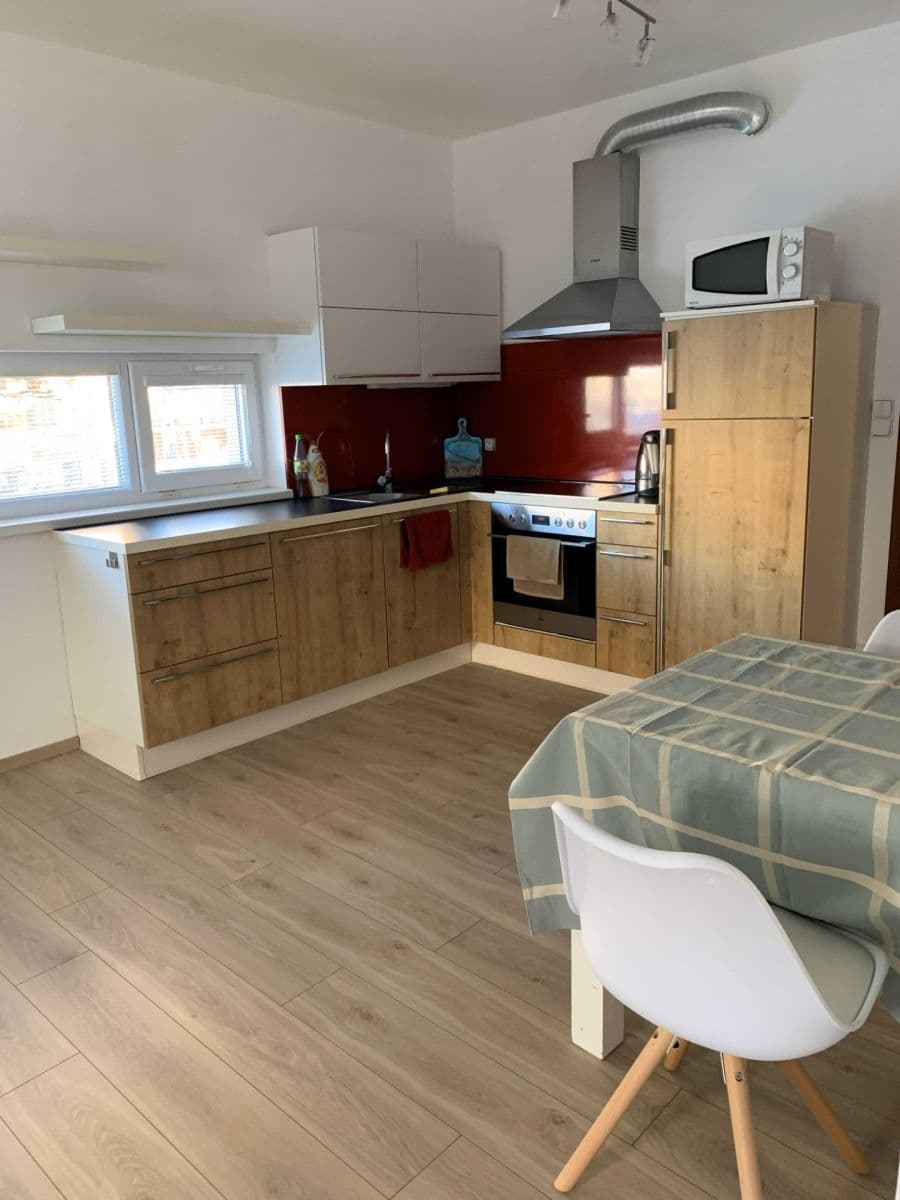 1 bedroom with open-plan kitchen flat to rent, 55 m², Makedonská, Prague, Prague 1 bedroom with open-plan kitchen flat to rent, 55 m², Makedonská, Prague, Prague