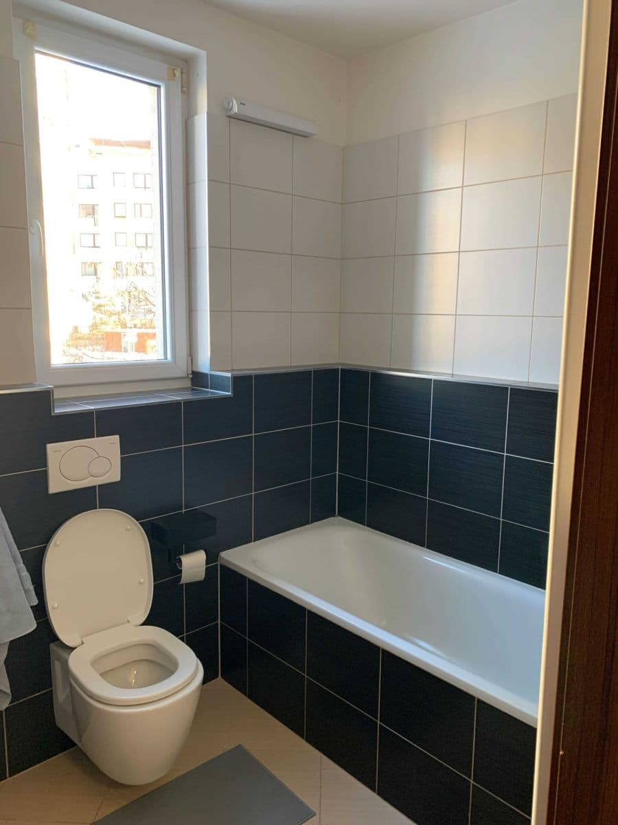 1 bedroom with open-plan kitchen flat to rent, 55 m², Makedonská, Prague, Prague 1 bedroom with open-plan kitchen flat to rent, 55 m², Makedonská, Prague, Prague