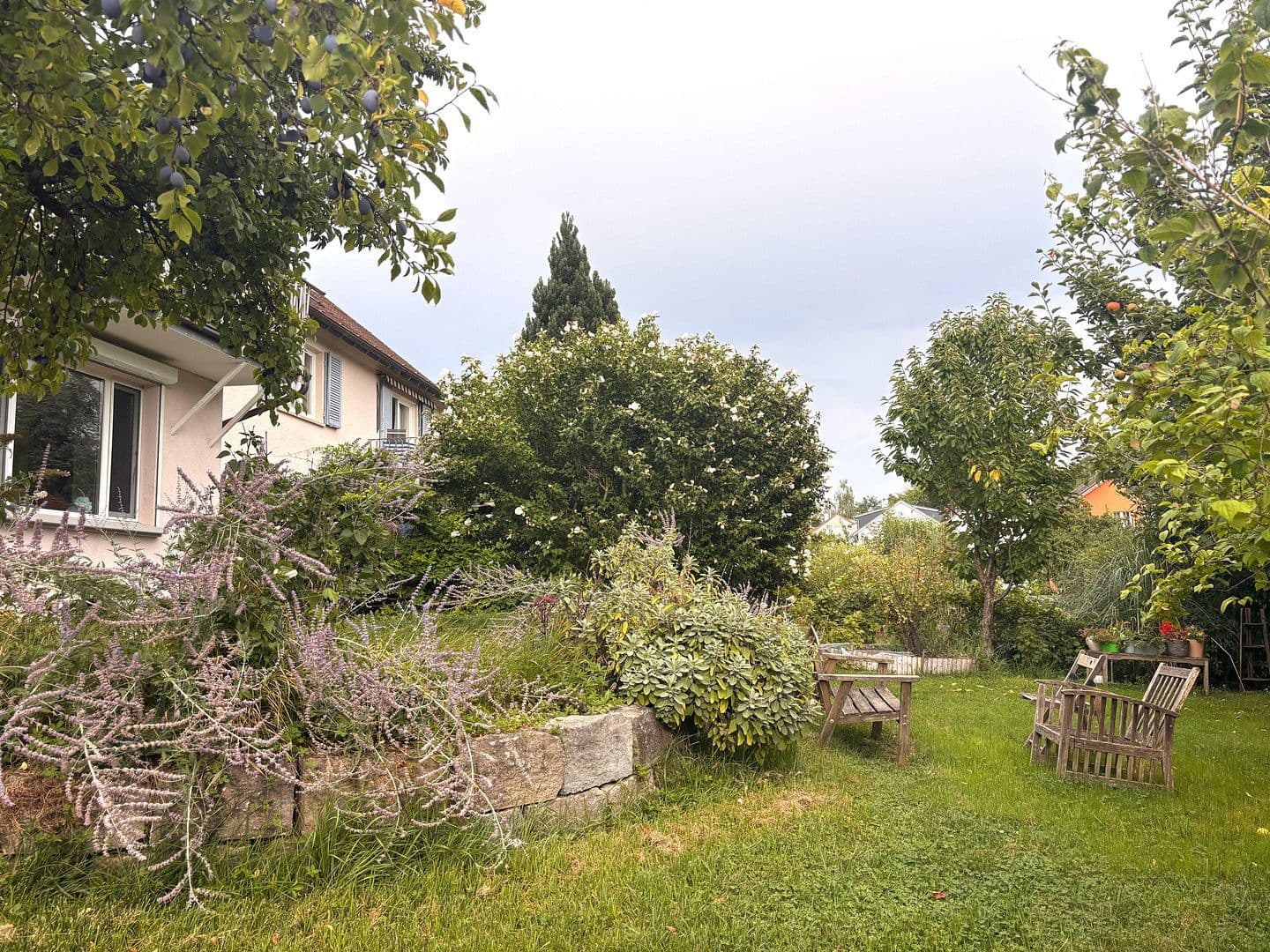 flat to rent, 20 m², Konstanz, Baden-Württemberg flat to rent, 20 m², Konstanz, Baden-Württemberg