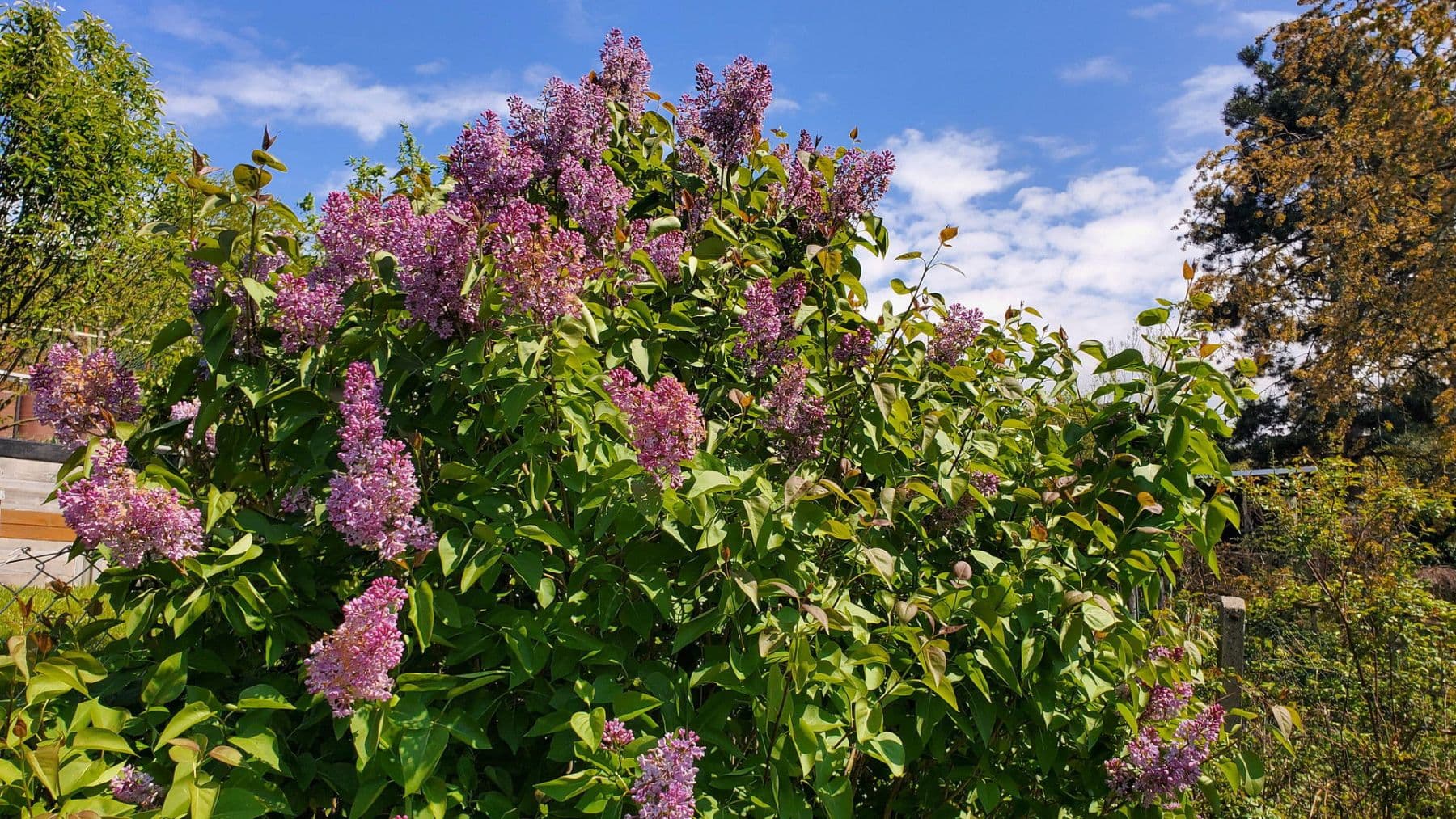 house for sale, 273 m², Pohlitzer Straße 15, Greiz, Thuringia house for sale, 273 m², Pohlitzer Straße 15, Greiz, Thuringia