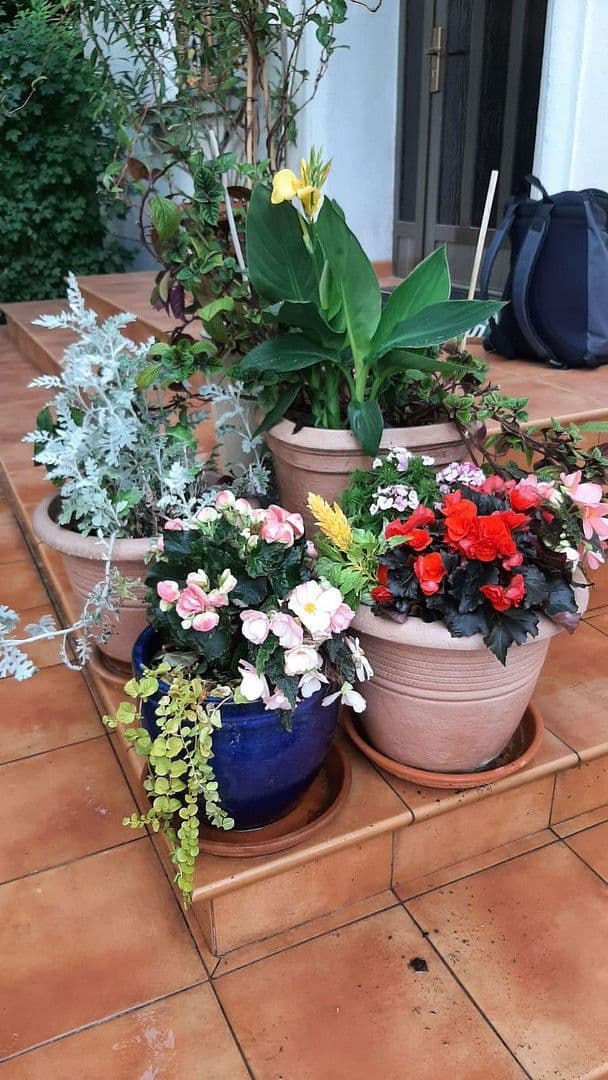 house for sale, 170 m², Frankfurt (Oder), Brandenburg house for sale, 170 m², Frankfurt (Oder), Brandenburg