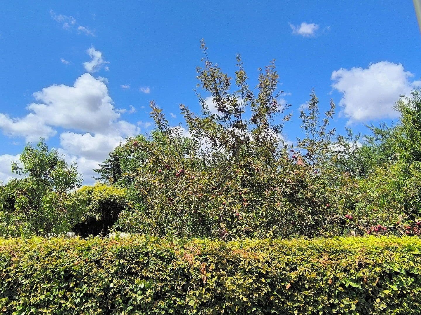 house for sale, 93 m², Kleinblittersdorf, Saarland house for sale, 93 m², Kleinblittersdorf, Saarland