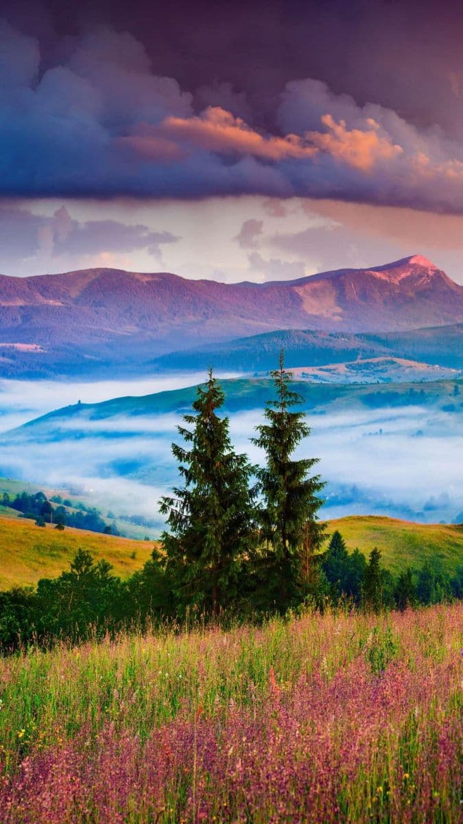 house to rent, 85 m², Turnov, Liberecký Region house to rent, 85 m², Turnov, Liberecký Region