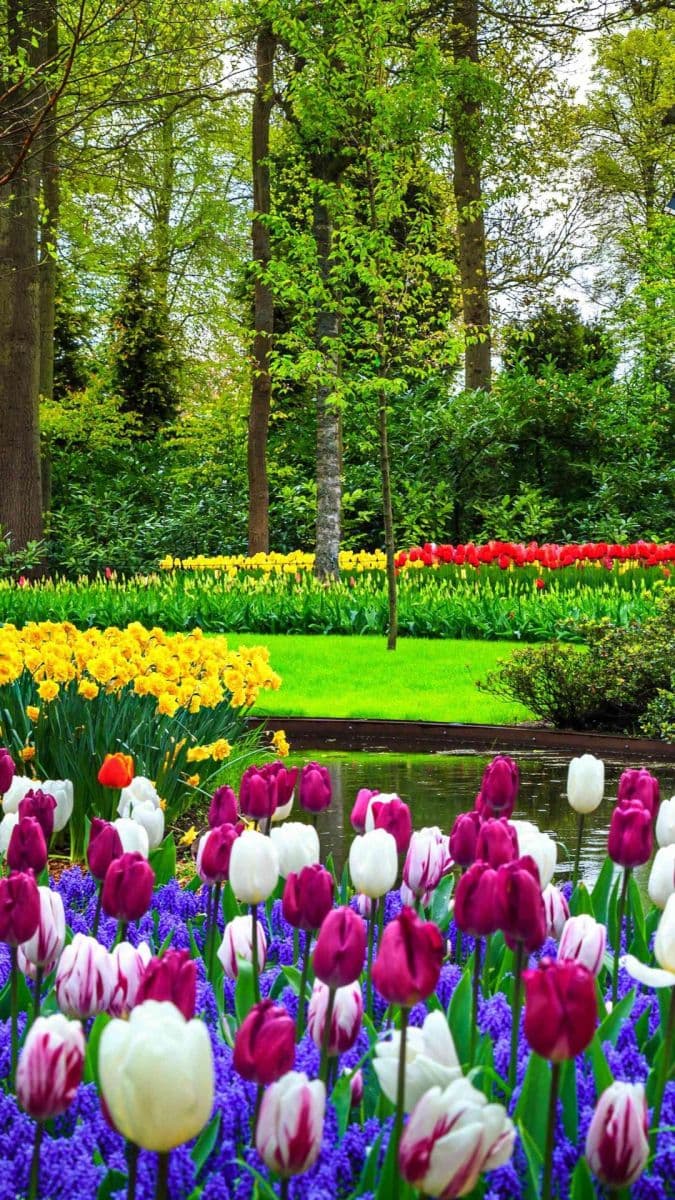 house to rent, 85 m², Turnov, Liberecký Region house to rent, 85 m², Turnov, Liberecký Region