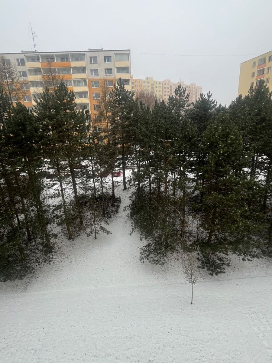 2 bedroom flat to rent, 60 m², Lýskova, Brno, Jihomoravský Region 2 bedroom flat to rent, 60 m², Lýskova, Brno, Jihomoravský Region