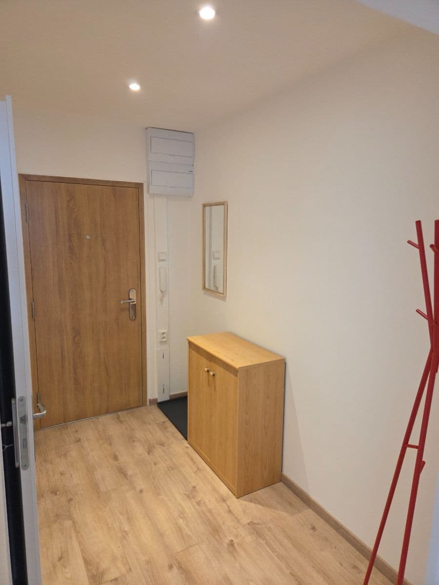 1 bedroom with open-plan kitchen flat to rent, 53 m², Seydlerova, Prague, Prague 1 bedroom with open-plan kitchen flat to rent, 53 m², Seydlerova, Prague, Prague