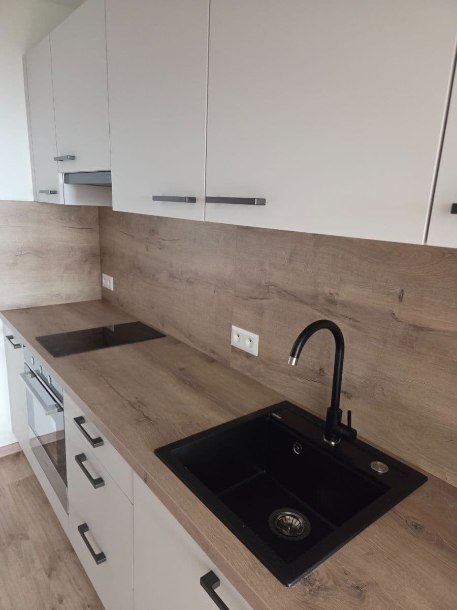1 bedroom with open-plan kitchen flat to rent, 53 m², Seydlerova, Prague, Prague 1 bedroom with open-plan kitchen flat to rent, 53 m², Seydlerova, Prague, Prague