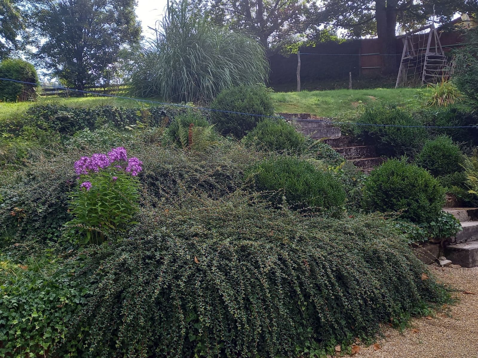 recreational property for sale, 1,520 m², Pohorská Ves, Jihočeský Region recreational property for sale, 1,520 m², Pohorská Ves, Jihočeský Region