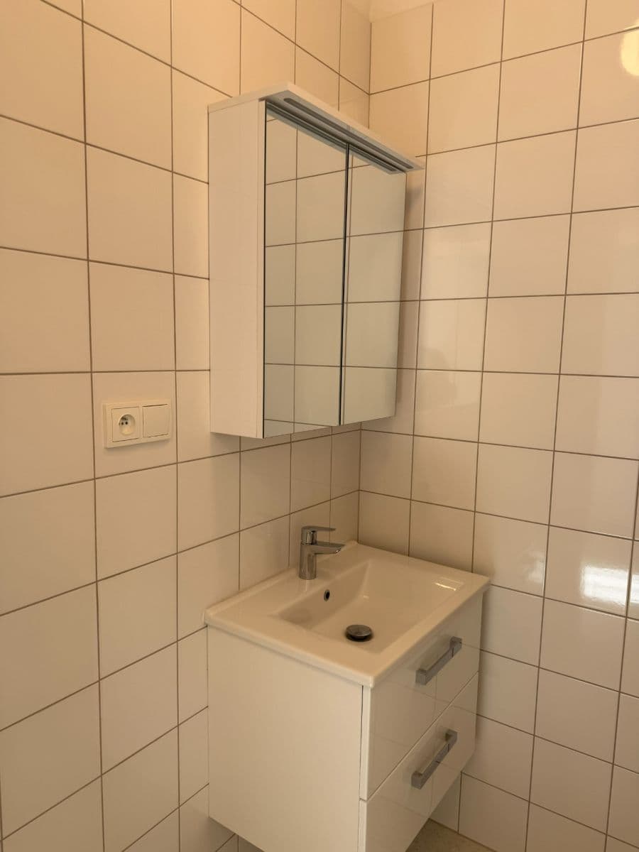 1 bedroom with open-plan kitchen flat to rent, 52 m², 28. pluku, Prague, Prague 1 bedroom with open-plan kitchen flat to rent, 52 m², 28. pluku, Prague, Prague